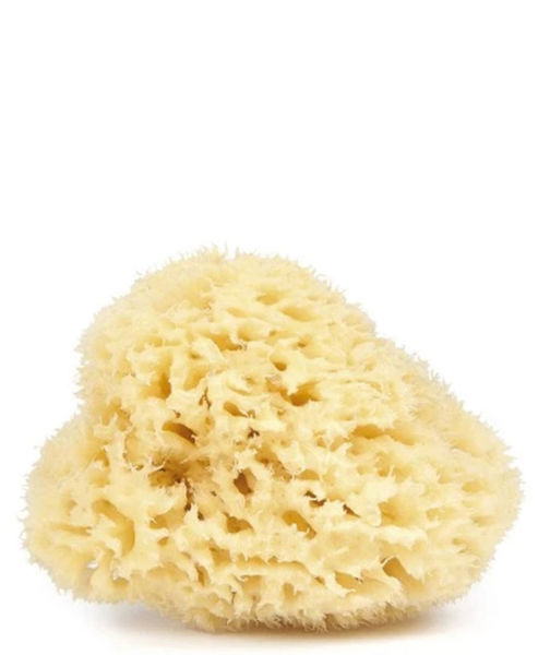 Picture of Najel natural sponge 9-10 cm
