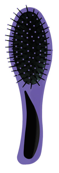 Picture of Intervion Hairbrush Magic Tangle Definer With Argan Oil